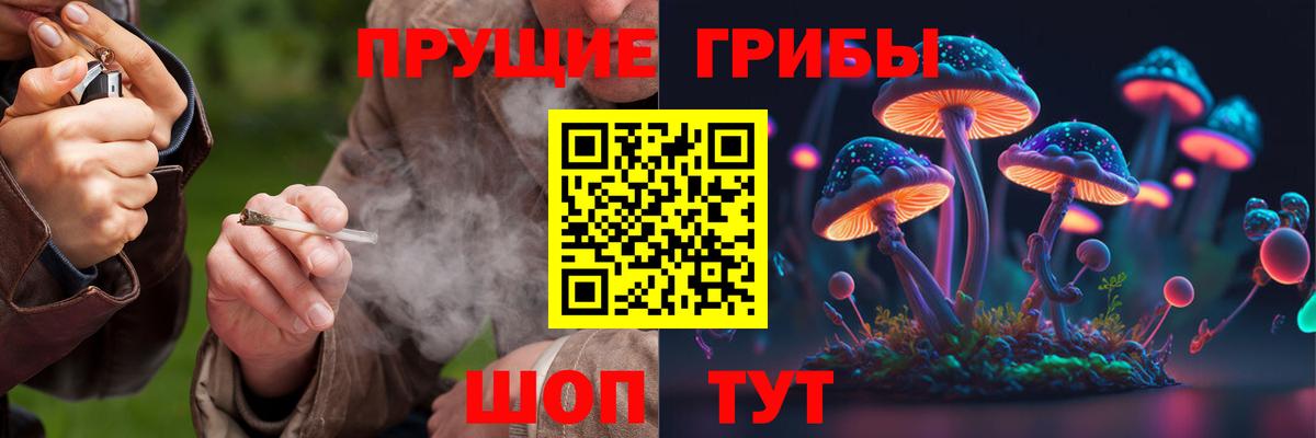 Саратов  Галлюциногенные грибы Cubensis  Галлюциногенные грибы мицелий  Вход с VPN 